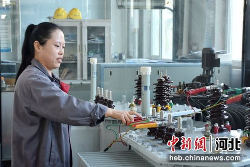 河北清苑 綠色工廠為經(jīng)濟(jì)發(fā)展注入新動(dòng)能，商務(wù)咨詢保駕護(hù)航